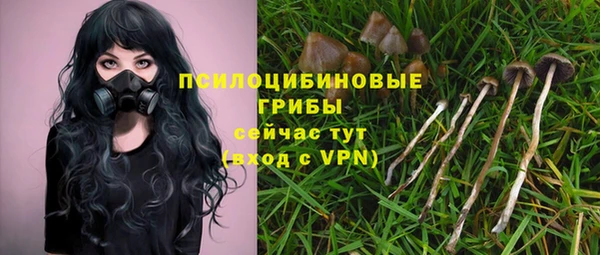 хмурый Алексеевка